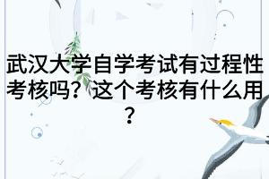 武汉大学自学考试有过程性考核吗？这个考核有什么用？