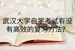 武汉大学自学考试有没有高效的复习方法？