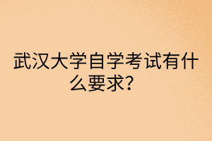 武汉大学自学考试有什么要求？