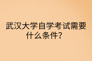 武汉大学自学考试需要什么条件？