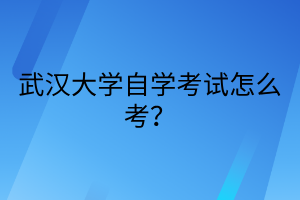 武汉大学自学考试怎么考？