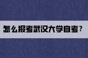 怎么报考武汉大学自考？