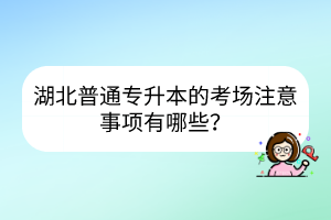武汉大学自考论文要写多少字？